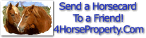 Send a Horse Card to a Friend